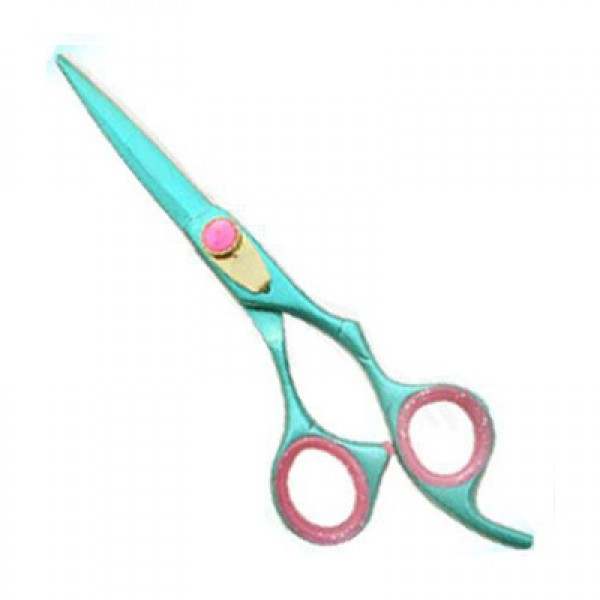 Professional Hair Cutting Scissors